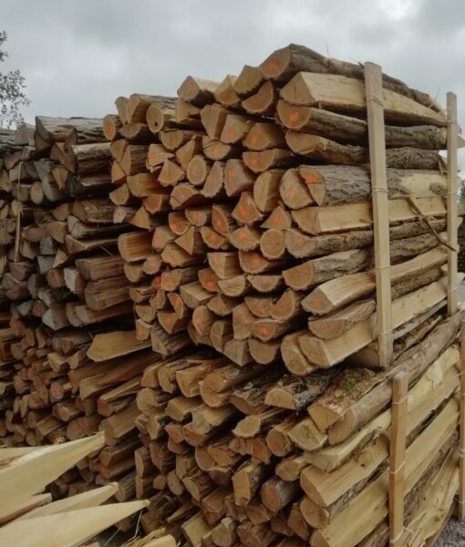 Piquet Acacia Fendu, Épointé, Non-écorcé