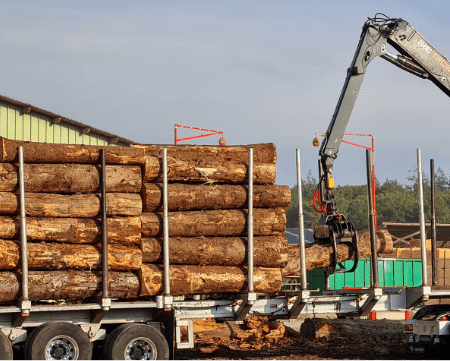 Camion de 30 stères Hêtre Chêne Charme en grume