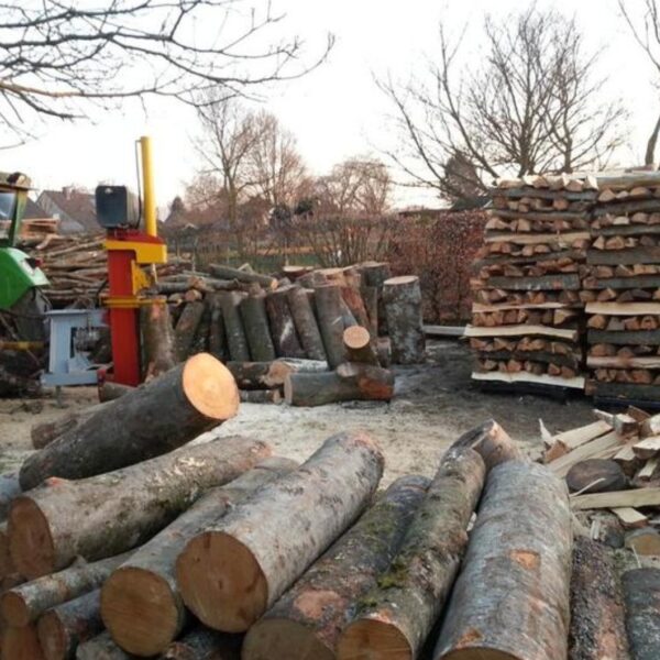 Hêtre en grume – Lot de 25 stères